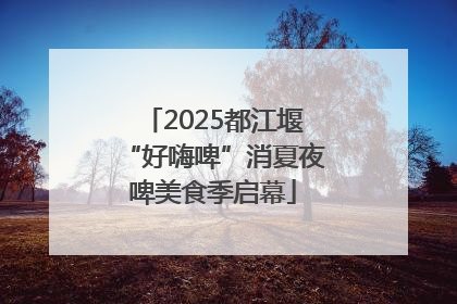 2025都江堰“好嗨啤”消夏夜啤美食季启幕