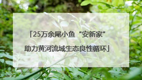 25万余尾小鱼“安新家” 助力黄河流域生态良性循环