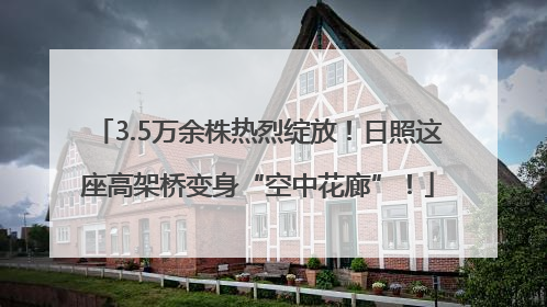 3.5万余株热烈绽放！日照这座高架桥变身“空中花廊”！
