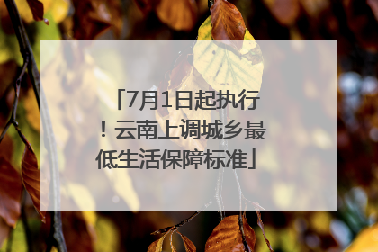 7月1日起执行！云南上调城乡最低生活保障标准
