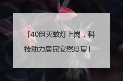 40组灭蚊灯上岗，科技助力居民安然度夏