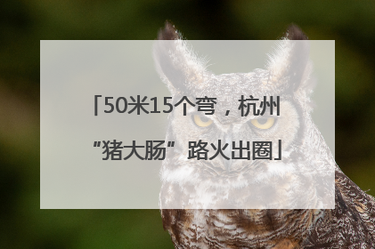50米15个弯，杭州“猪大肠”路火出圈