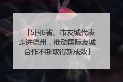 5国6省、市友城代表走进德州，推动国际友城合作不断取得新成效