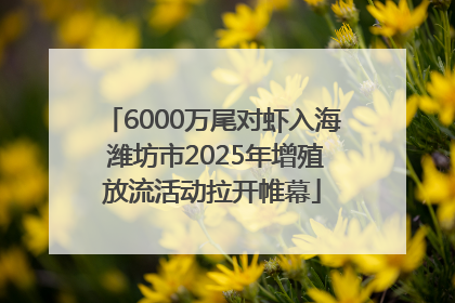 6000万尾对虾入海 潍坊市2025年增殖放流活动拉开帷幕