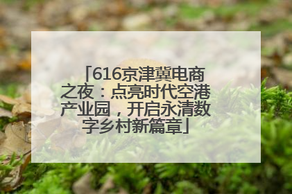 616京津冀电商之夜：点亮时代空港产业园，开启永清数字乡村新篇章