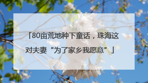 80亩荒地种下童话，珠海这对夫妻“为了家乡我愿意”
