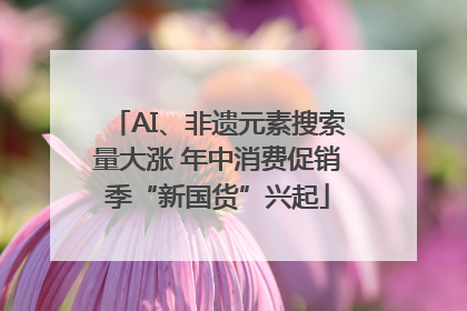 AI、非遗元素搜索量大涨 年中消费促销季“新国货”兴起